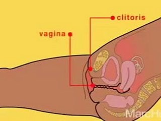 어떻게 분출에