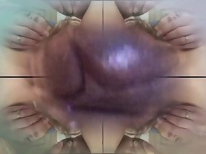 تغذية الأسماك لpussis