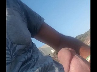 Brambles gà trống Tunisia lớn