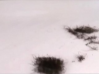 Io - Figa rasata 2