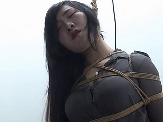 Çin xiaoyao 352
