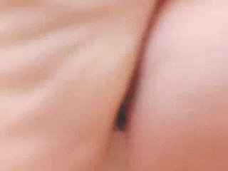 الكلبة الصينية جيدة